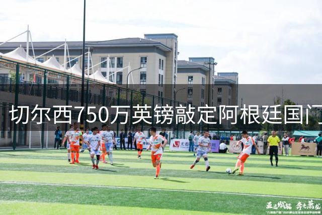 切尔西750万英镑敲定阿根廷国门马丁内斯转会